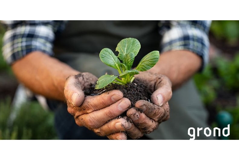 Foto handen met aarde en plantje - bron: PthU